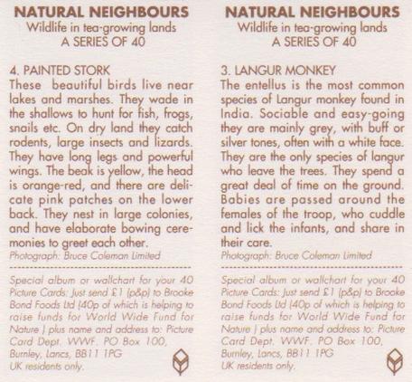 1992 Brooke Bond Natural Neighbours (Double Cards) #3-4 Langur Monkey / Painted Sork Back