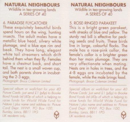 1992 Brooke Bond Natural Neighbours (Double Cards) #5-6 Rose Ringed Parakeet / Paradise Flycatcher Back