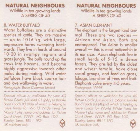 1992 Brooke Bond Natural Neighbours (Double Cards) #7-8 Asian Elephant / Water Buffalo Back