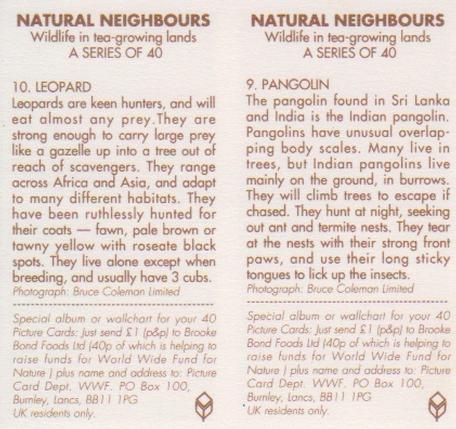 1992 Brooke Bond Natural Neighbours (Double Cards) #9-10 Pangolin / Leopard Back