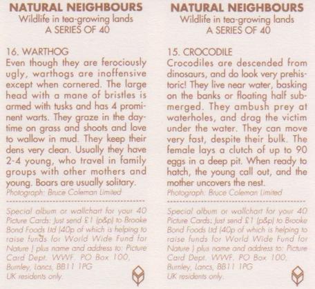 1992 Brooke Bond Natural Neighbours (Double Cards) #15-16 Crocodile / Warthog Back