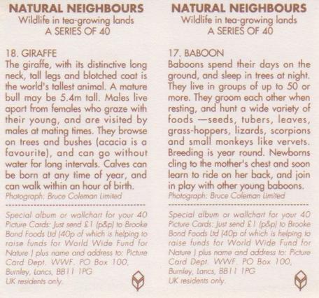 1992 Brooke Bond Natural Neighbours (Double Cards) #17-18 Baboon / Giraffe Back