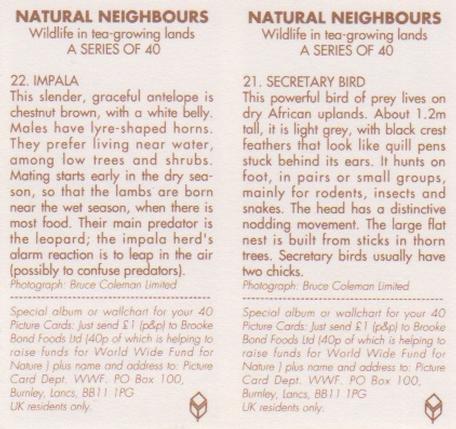 1992 Brooke Bond Natural Neighbours (Double Cards) #21-22 Secretary Bird / Impala Back