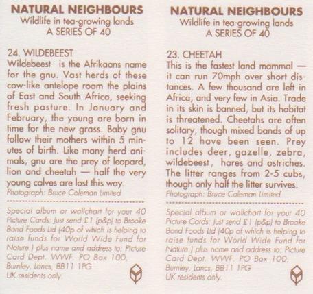 1992 Brooke Bond Natural Neighbours (Double Cards) #23-24 Cheetah / Wildebeest Back