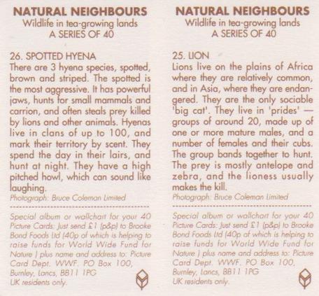 1992 Brooke Bond Natural Neighbours (Double Cards) #25-26 Lion / Spotted Hyena Back