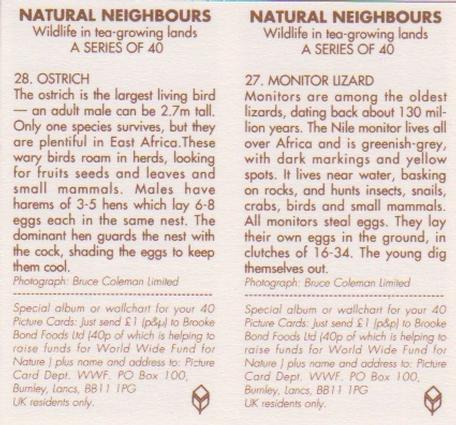 1992 Brooke Bond Natural Neighbours (Double Cards) #27-28 Monitor Lizard / Ostrich Back