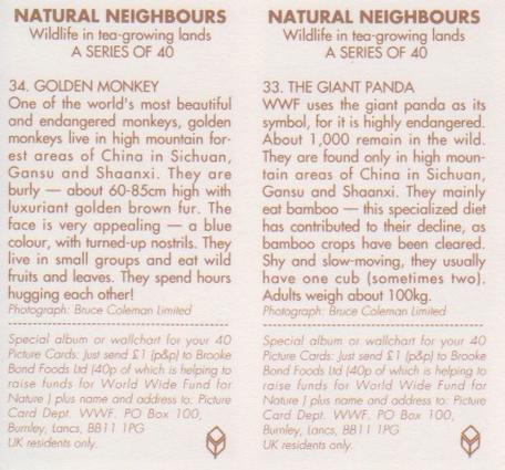 1992 Brooke Bond Natural Neighbours (Double Cards) #33-34 The Giant Panda / Golden Monkey Back