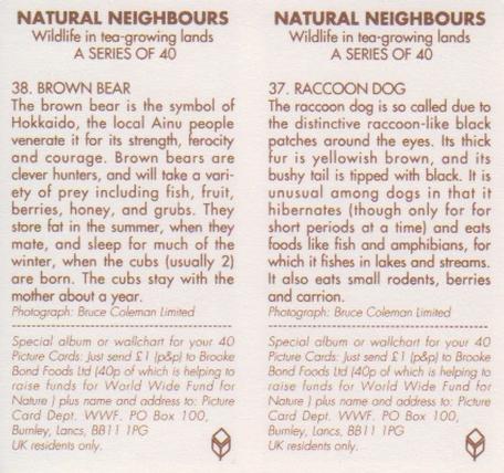 1992 Brooke Bond Natural Neighbours (Double Cards) #37-38 Racoon Dog / Brown Bear Back