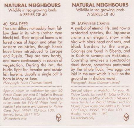 1992 Brooke Bond Natural Neighbours (Double Cards) #39-40 Japanese Crane / Sika Deer Back