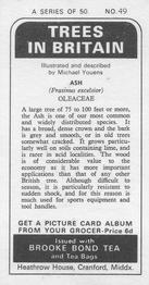 1973 Brooke Bond Trees in Britain #49 Ash Back