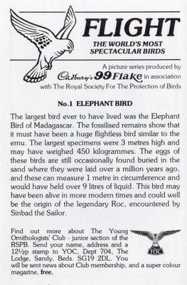 1983 Cadbury's Flight : The World's Most Spectacular Birds #1 Elephant Bird Back