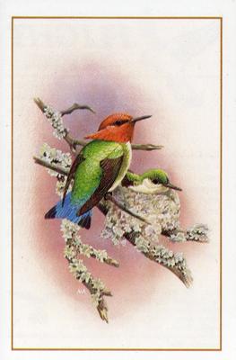 1983 Cadbury's Flight : The World's Most Spectacular Birds #3 Bee Hummingbird Front