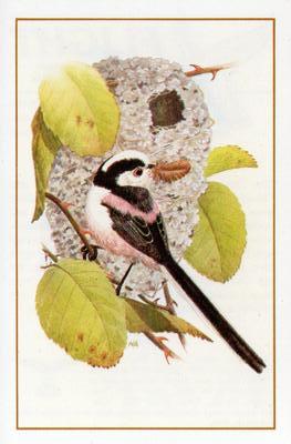 1983 Cadbury's Flight : The World's Most Spectacular Birds #6 Long-Tailed Tit Front
