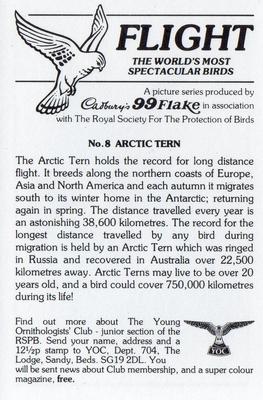 1983 Cadbury's Flight : The World's Most Spectacular Birds #9 Arctic Tern Back