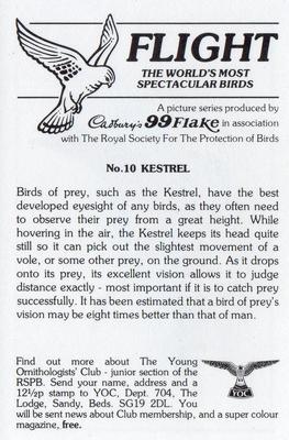 1983 Cadbury's Flight : The World's Most Spectacular Birds #10 Kestrel Back
