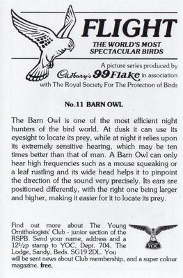 1983 Cadbury's Flight : The World's Most Spectacular Birds #11 Barn Owl Back