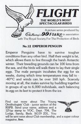 1983 Cadbury's Flight : The World's Most Spectacular Birds #12 Emperor Penguin Back