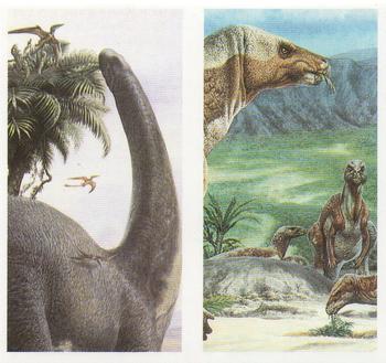 1993 Brooke Bond The Dinosaur Trail (Double Cards) #9-10 Apatosaurus / Camptosaurus Front