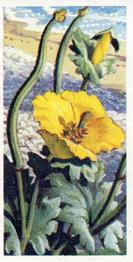 1959 Brooke Bond Wild Flowers Series 2 - Brooke Bond Wild Flowers Series 2 (With Issued By) #33 Horned Poppy Front