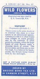 1959 Brooke Bond Wild Flowers Series 2 - Brooke Bond Wild Flowers Series 2 (With Issued By) #37 Soapwort Back