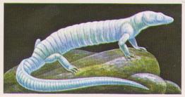 1985 Brooke Bond Incredible Creatures (Sheen Lane address) #9 Texas Blind Salamander Front