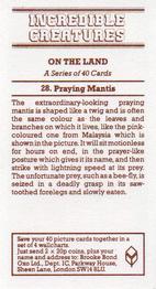 1985 Brooke Bond Incredible Creatures (Sheen Lane address) #28 Praying Mantis Back