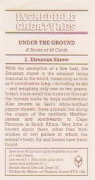 1986 Brooke Bond Incredible Creatures (Walton address with Dept IC) #2 Etruscan Shrew Back