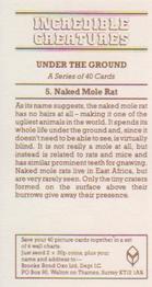 1986 Brooke Bond Incredible Creatures (Walton address with Dept IC) #5 Naked Mole Rat Back