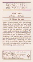 1986 Brooke Bond Incredible Creatures (Walton address without Dept IC) #18 Clown Shrimp Back
