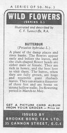 1973 Brooke Bond Wild Flowers Series 2 #3 Butterbur Back