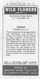 1973 Brooke Bond Wild Flowers Series 2 #12 Cowslip Back