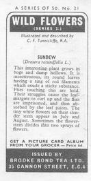 1973 Brooke Bond Wild Flowers Series 2 #21 Sundew Back