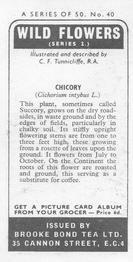 1973 Brooke Bond Wild Flowers Series 2 #40 Chicory Back