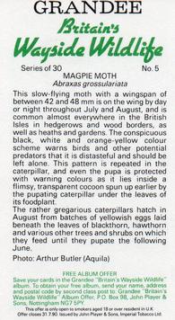 1988 Grandee Britain's Wayside Wildlife #5 Magpie Moth Back