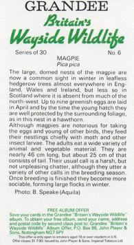 1988 Grandee Britain's Wayside Wildlife #6 Magpie Back