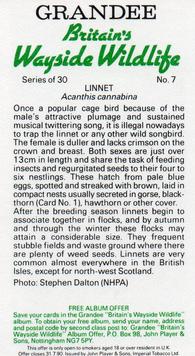 1988 Grandee Britain's Wayside Wildlife #7 Linnet Back