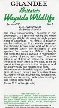 1988 Grandee Britain's Wayside Wildlife #9 Yellowhammer Back