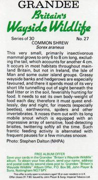 1988 Grandee Britain's Wayside Wildlife #27 Common Shrew Back