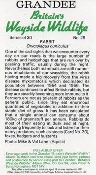 1988 Grandee Britain's Wayside Wildlife #29 Rabbit Back