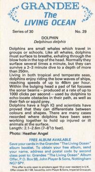 1985 Grandee The Living Ocean #29 Dolphin Back