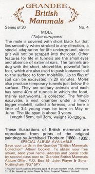 1982 Grandee British Mammals (Imperial Tobacco Limited) #4 Mole Back