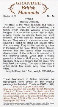 1982 Grandee British Mammals (Imperial Tobacco Limited) #14 Stoat Back