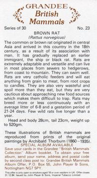 1982 Grandee British Mammals (Imperial Tobacco Limited) #23 Brown Rat Back