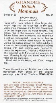1982 Grandee British Mammals (Imperial Tobacco Limited) #24 Brown Hare Back