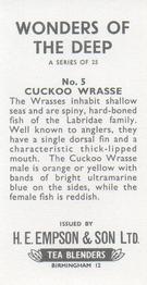 1965 Empson & Son Wonders of the Deep #5 Cuckoo Wrasse Back