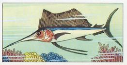 1965 Empson & Son Wonders of the Deep #13 Swordfish Front