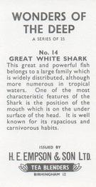 1965 Empson & Son Wonders of the Deep #14 Great White Shark Back