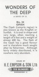 1965 Empson & Son Wonders of the Deep #24 Opah Back