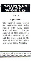 1954 Anonymous Animals of the World #3 Squirrel Back