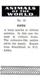 1954 Anonymous Animals of the World #16 Kudu Back